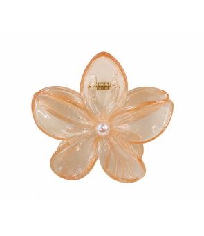 Orange Transparent