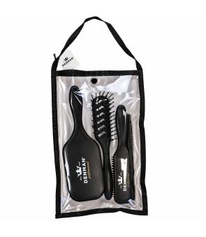 Kit de brosses DENMAN PRO