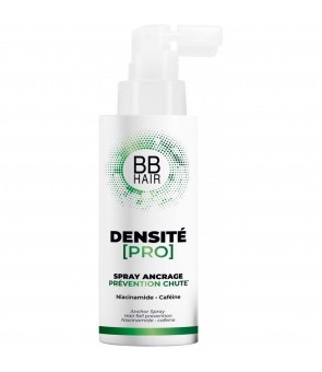Spray Ancrage Densité Pro...