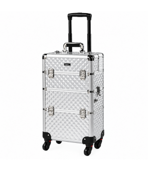 Valise professionnelle...
