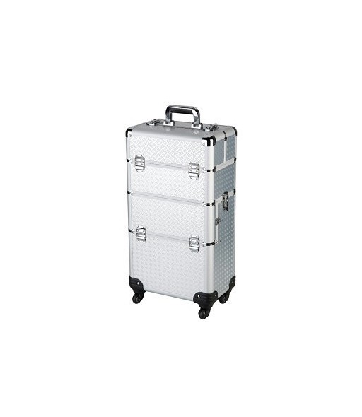 Valise professionnelle à roulettes Argent