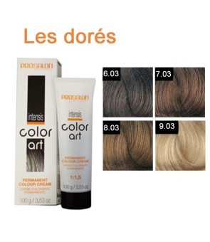 Coloration d'oxydation Prosalon  art Intensis 100 ML àL 'huile de Macadamia