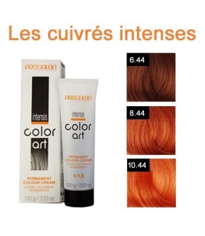 Coloration d'oxydation Prosalon  art Intensis 100 ML àL 'huile de Macadamia