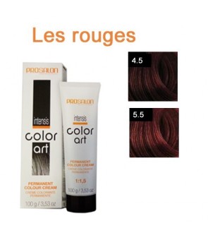 Coloration d'oxydation Prosalon  art Intensis 100 ML àL 'huile de Macadamia