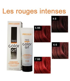 Coloration d'oxydation Prosalon  art Intensis 100 ML àL 'huile de Macadamia