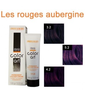 Coloration d'oxydation Prosalon  art Intensis 100 ML àL 'huile de Macadamia