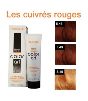 Coloration d'oxydation Prosalon  art Intensis 100 ML àL 'huile de Macadamia