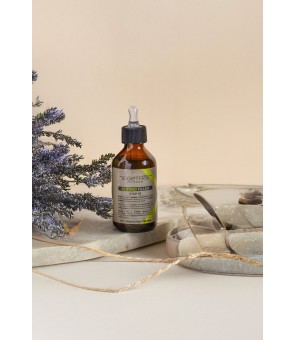 Filler restructurant 3D...