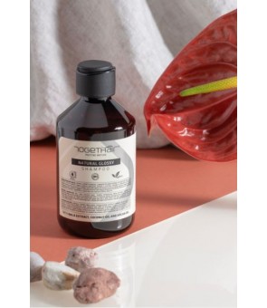 Shampoing Natural glossy...