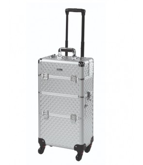 Valise professionnelle...