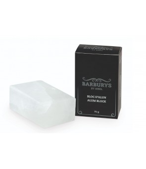 Pierre d'alun BARBURYS