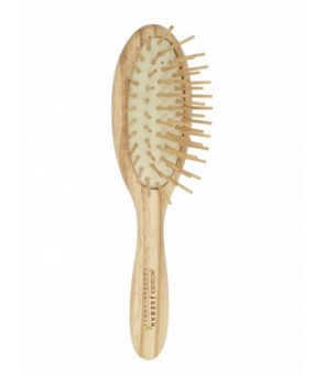Brosse pneumatique en bois...